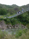 NZ West Coast - Buller Gorge swing bridge - 164K
