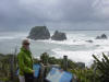 NZ West Coast - rugged shoreline - 101K