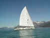Sailing in Glacier Bay.jpg (50511 bytes)