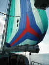 Spinnaker up for the first time! (76K)