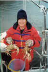 Which one is the crab? Catching Dungeness crabs in East Inlet, BC (57K)
